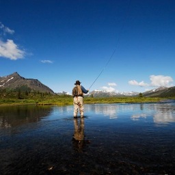 kootenayflyfish's profile picture. 