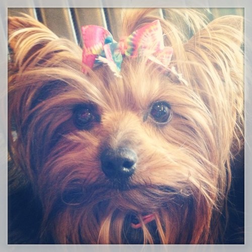 epb0001's profile picture. 