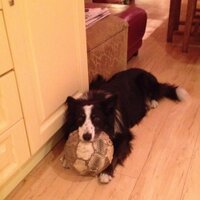Gerard Moriarty (@gerrymoriartyit) 's Twitter Profile Photo Gerard Moriarty (@gerrymoriartyit) 's Twitter Profile Photo