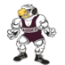 Augsburg Wrestling (@AuggieWrestle) Twitter profile photo