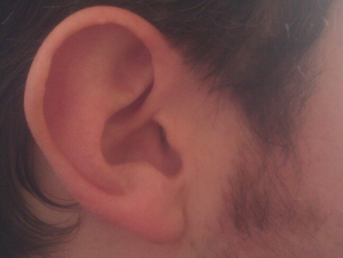 slowdowncadet's profile picture. SlowDownCadet is my band. My tweets: tangential chatter about music, gaming, computer (DIY) hackery, procrastination, and excuses for no new recent material.