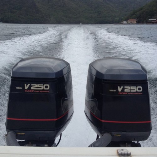 matthewwelch15's profile picture. 