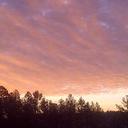 Marion McCann - @KieferWald - Twitter