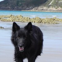 Volker Oboda (@volkerhh) 's Twitter Profile