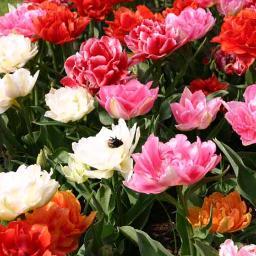 reflex88heerlen's profile picture. 