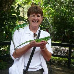 Professor, Leisure and Tourism, U of Florida