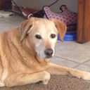 Andy Wright - @aiwright - Twitter