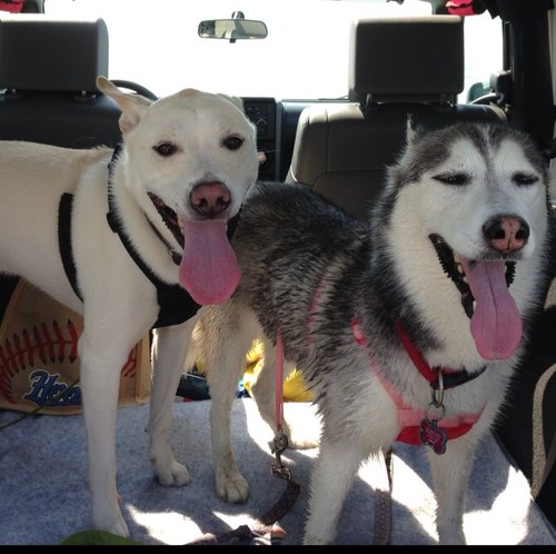 JDuB0417's profile picture. 