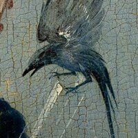 Mateusz Felczak (@m_maarud) 's Twitter Profile