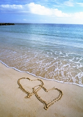 AfterVows's profile picture. 