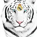 anwar elsayed - @anwarelsayed2 - Twitter