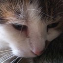 Marion Schmid - @mar1ons - Twitter