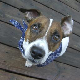 mauri_san's profile picture. 