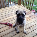 Eric justice - @justice_ej - Twitter