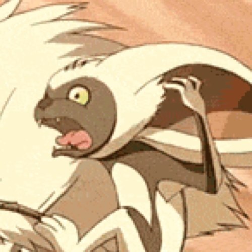 iYourMomoness's profile picture. I am Lord Momo of the Momo Dynasty, but please, call me your Momoness. I basically run Team Avatar, yeah. No big deal. It's whatever. {RP/Parody}