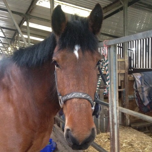 hezisom's profile picture. 