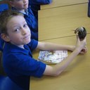 Sandy Murrell - @Murphy3Sandy - Twitter