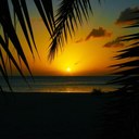 Mark Bird - @MarkBird5000 - Twitter