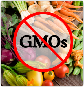 It's your body, your health, make the right choice! Learn about the hazards of Genetically Modified Organisms and help us spread awareness.