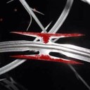 Randy Blocker - @medicmnstr - Twitter