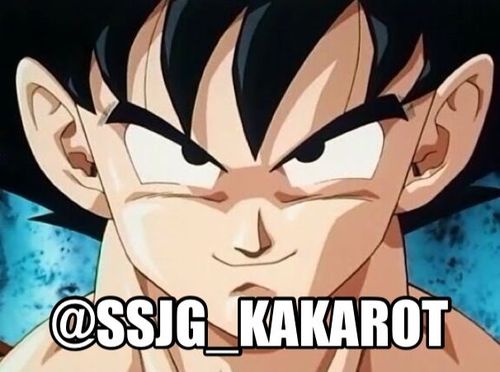 My writer is @Super_Habz . I'm the SSJG so therefore I am stronger than you but you know who to call if you need any help.