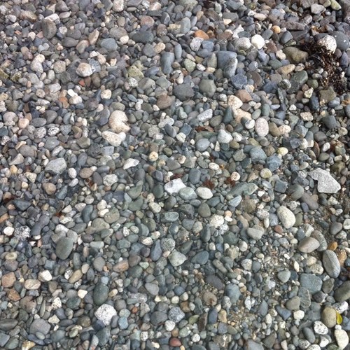 monemi75's profile picture. 