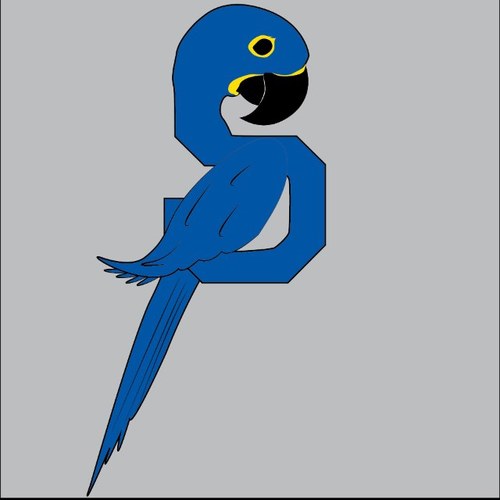 bird_smart Profile Picture
