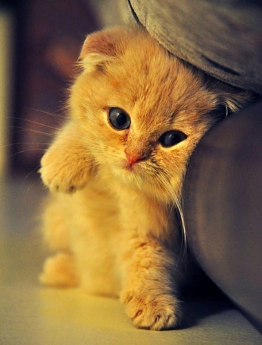 slsqq's profile picture. 80后 搬砖行业 内向 宅 吐槽 无神论  已婚 喜欢翻墙，fo我者，必回fo