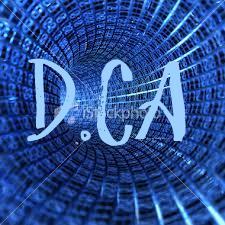 We empower our clients to build sites that move, groove, animated and do the things that the our sites on the web, can't do! Domainify.ca will support