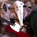 Michelle Chartrand - @harleymouse - Twitter