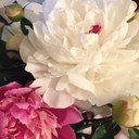 Jody Fleming - @pjody105 - Twitter