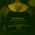Sheila Blandin (@shellibelligirl) Twitter profile photo