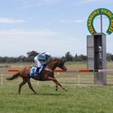 Danielle Walker - @daniwlkr78 - Twitter