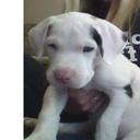 Barbara Ware - @barbaraware17 - Twitter