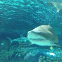 john leftwich - @LeftwichJohn - Twitter