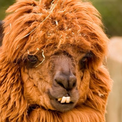 SmokeDrinkHappy's profile picture. Smoke Shop & Liquor. 13 Locations. A Work Free Smoke Place. Locally Owned, Locally Operated, Locally Loco.