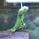 Sheldon Roy - @SheldonRoy1 - Twitter