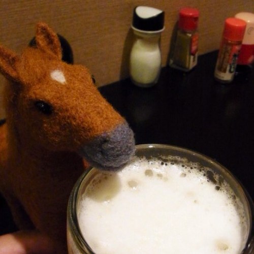🐴🐼🐶🍜 📻🇹🇼📷素人競馬愛好家