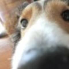 kureing's profile picture. 酒の肴にPSO2を楽しんでいます。
ヨッパらってｸﾞﾀﾞｸﾞﾀﾞな時もありますけど･･･楽しければｲｲｼﾞｬﾅｲ！
Ship04 でチーム【黄金の夜明け】にて絶賛活動ﾁｭｳ！Ａｉｏｎもｼﾞｹ魔で復帰しました。その他ｲﾛｲﾛ好きな事を。。。