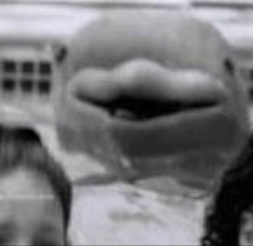 Flippa?  I'm James The Nigga Hating Dolphin