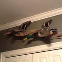 taylor robichaux - @taylorrobichaux - Twitter