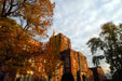 This Twitter account will soon be deactivated. For advising information, follow @ArtsSciencesUT