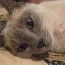 beatriz long - @bettyy2010 - Twitter