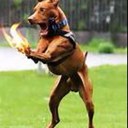 Austin James Sayen - @insaneSayen - Twitter