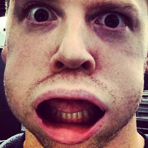 joshhowell's profile picture. Cats are terrible.