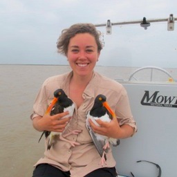 sashaparula's profile picture. Avian ecologist, self-taught artist, yoga student and teacher celebrating divinity in all the balm and beauty of the earth