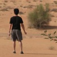 O2 (@odam_jp) 's Twitter Profile