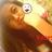 Vanessa beldia❤ Memecoin💛 DROP꧁IP꧂'s Twitter (X) avatar