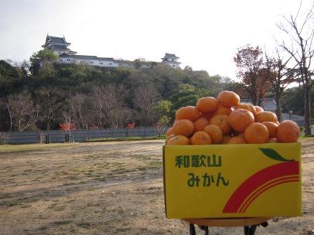 国民民主党和歌山県総支部連合会です。