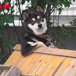 好きな画像とか小物を喋って行く予定です。
よろしく！！